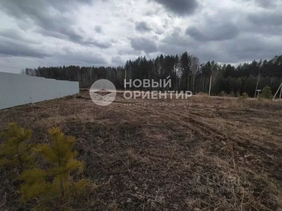 Участок в Свердловская область, Сысертский муниципальный округ, СНТ ... - Фото 2