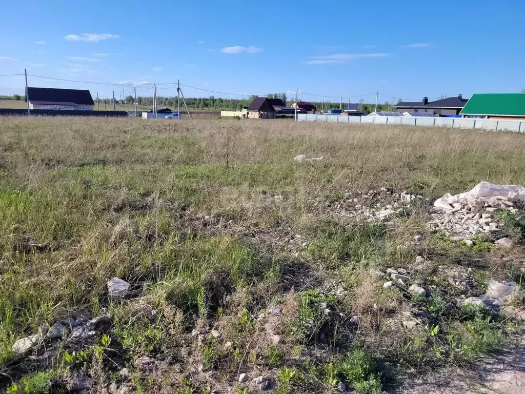 Участок в Ульяновская область, Чердаклинский район, Мирновское с/пос, ... - Фото 2