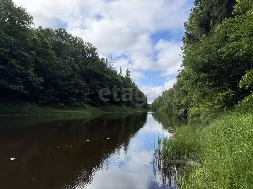 Участок в Нижегородская область, Семеновский муниципальный округ, д. ... - Фото 1