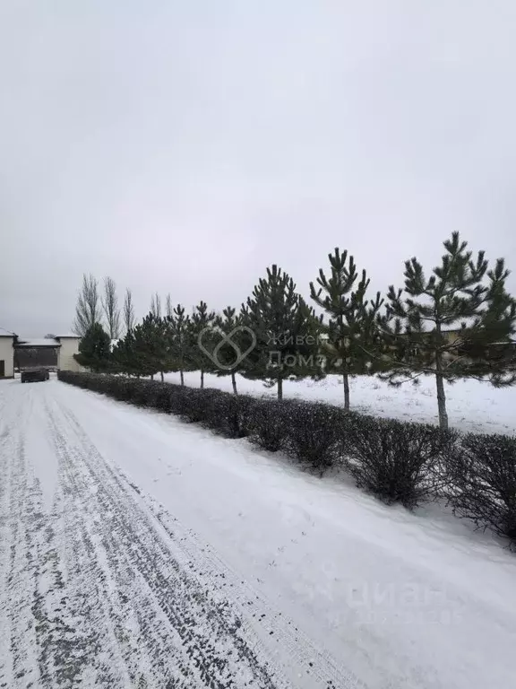 Участок в Волгоградская область, Среднеахтубинский район, Фрунзенское ... - Фото 0