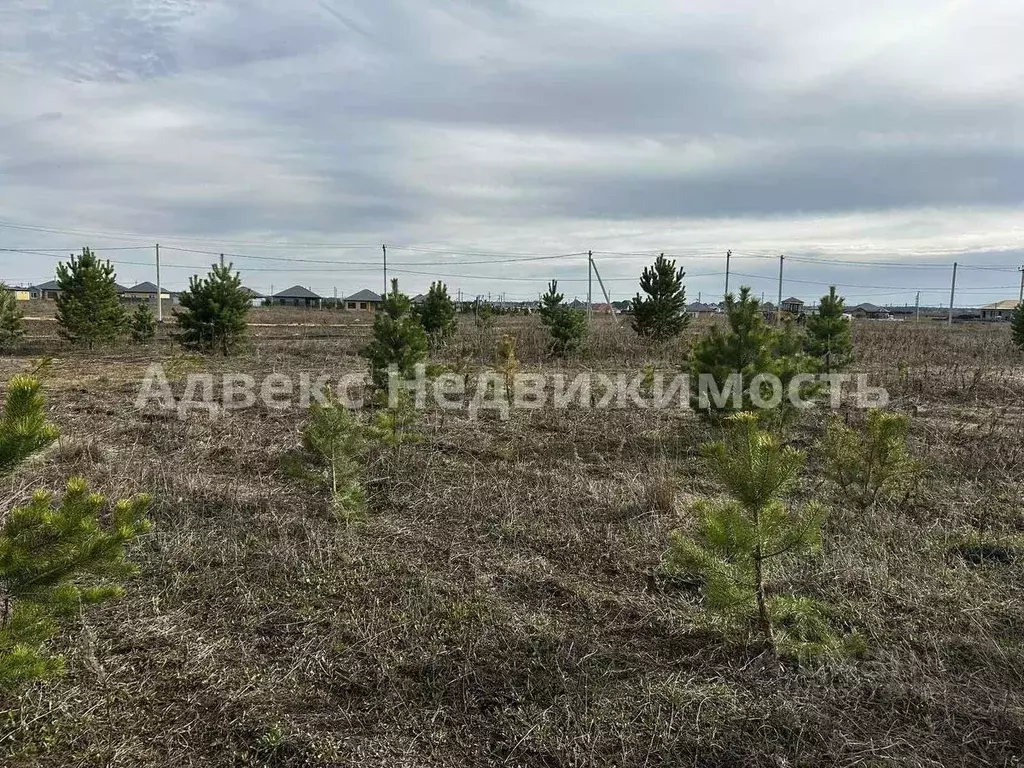 участок в тюменская область, тюменский район, д. елань (10.5 сот.) - Фото 0