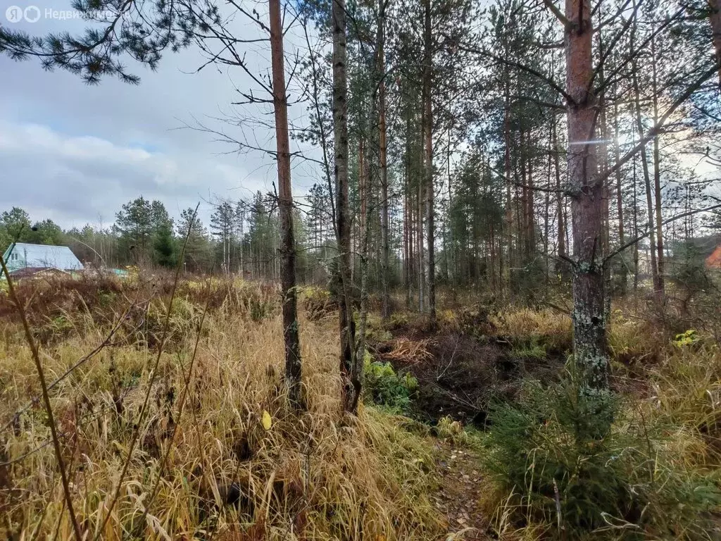 Участок в Московская область, городской округ Клин, СНТ Лесник, 32 (16 ... - Фото 1
