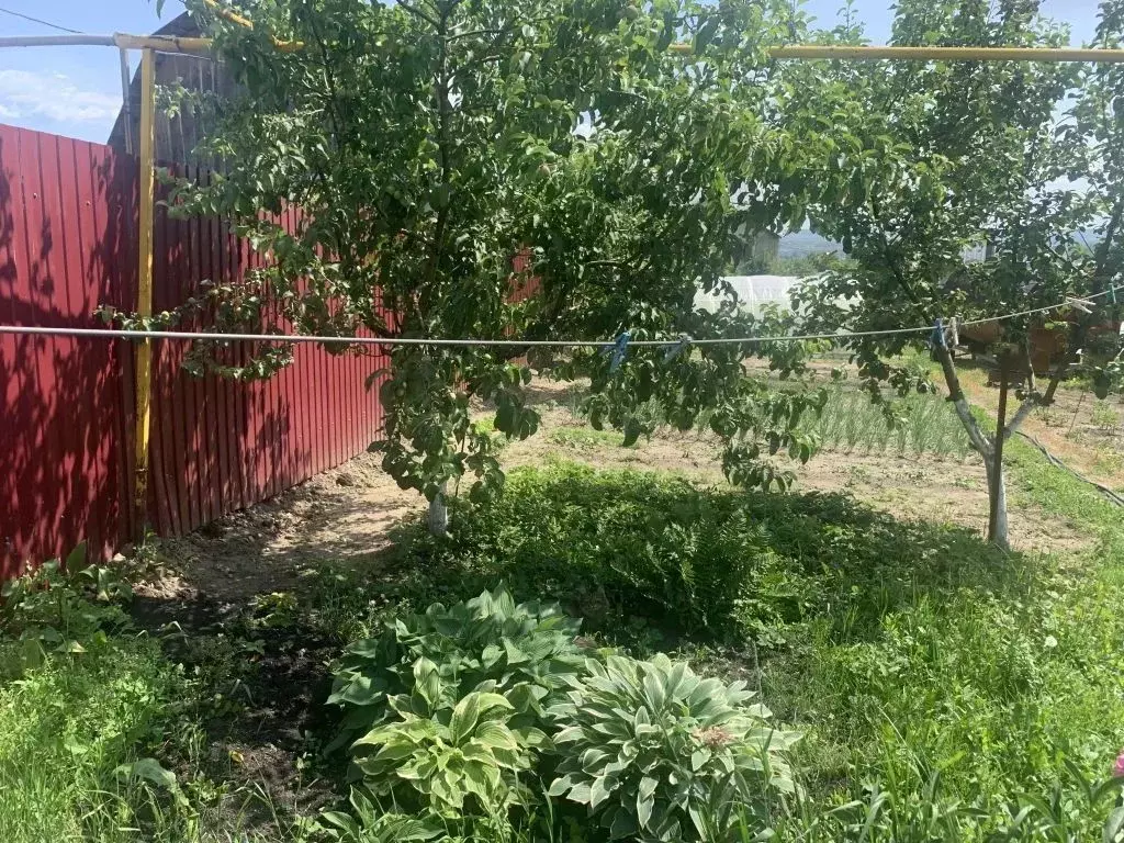 Дом в Пензенская область, Пенза ул. Энгельса (30 м) - Фото 1