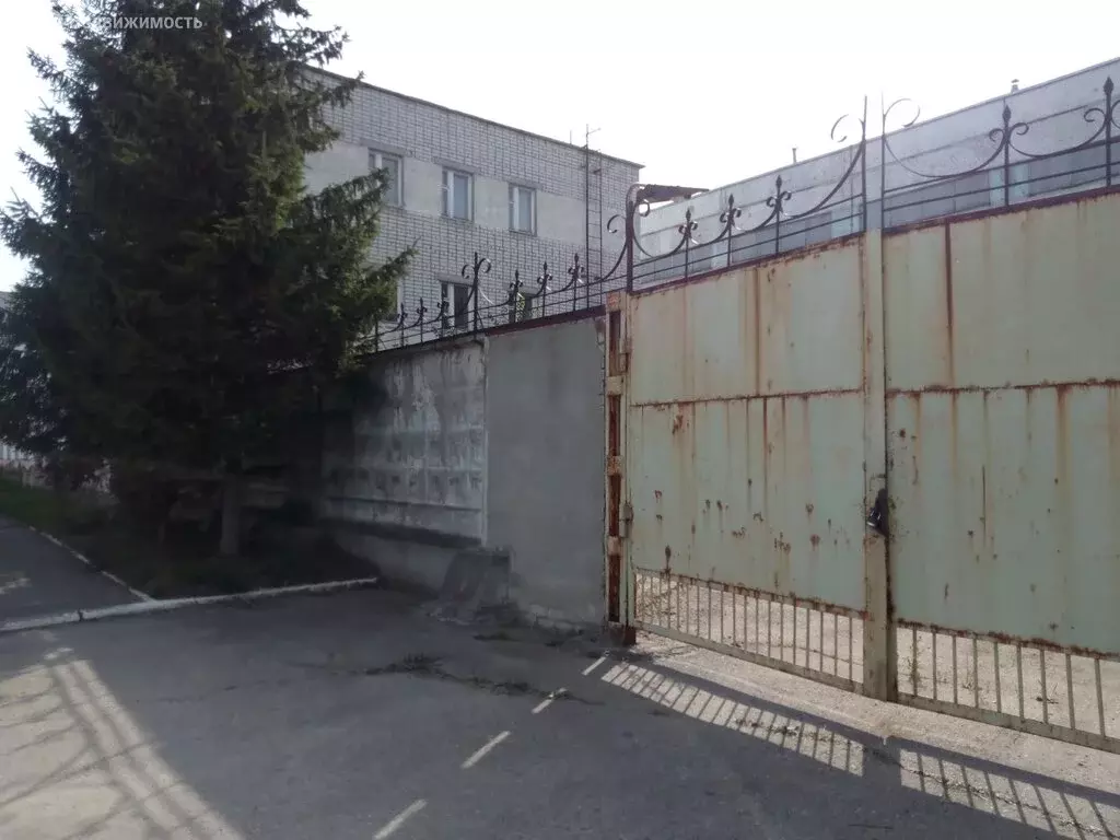 Офис (232.6 м) - Фото 1