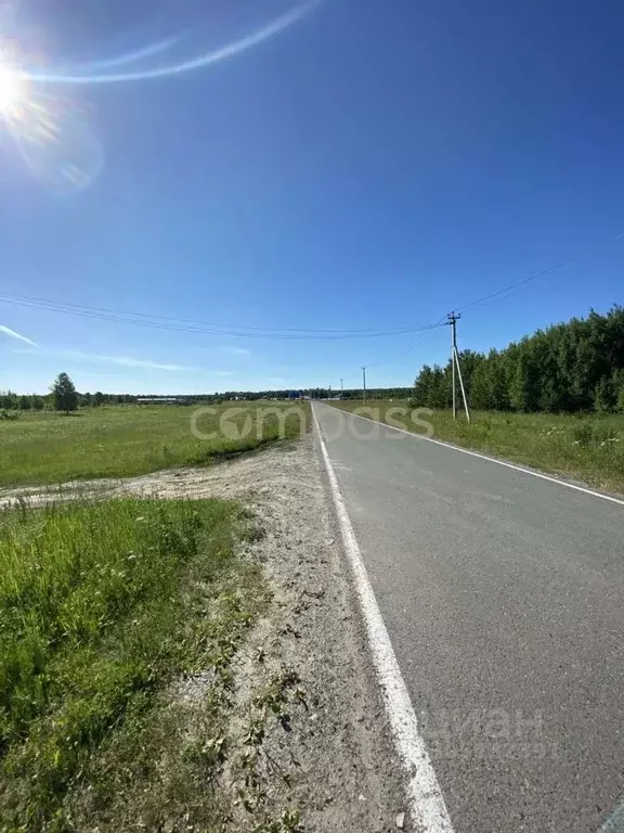 Участок в Тюменская область, Нижнетавдинский район, Царицыно СНТ  (8.8 ... - Фото 0