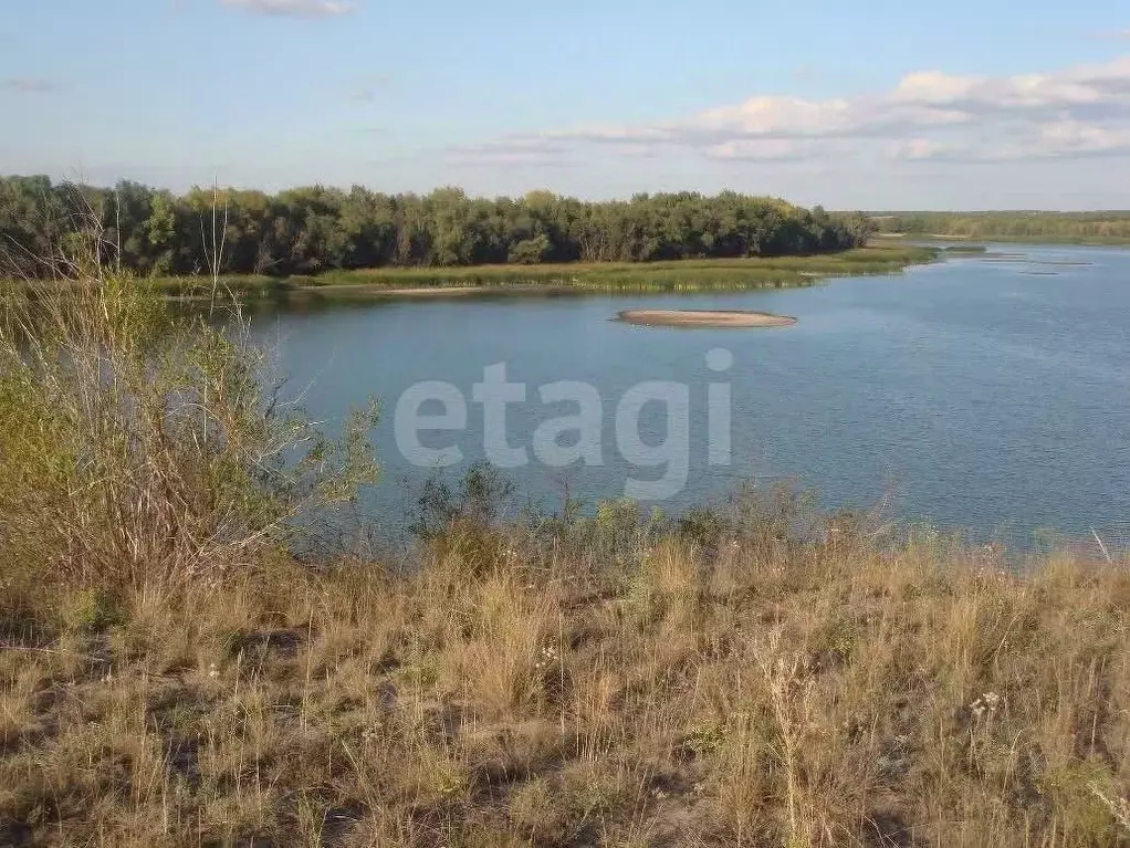 Участок в Волгоградская область, Городищенский район, Вертячинское ... - Фото 2
