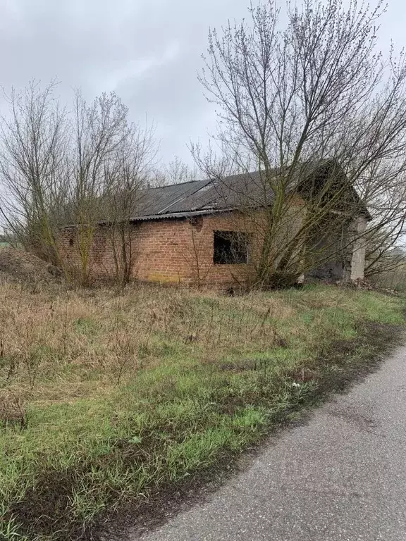 Дом в Белгородская область, Яковлевский муниципальный округ, с. Сажное ... - Фото 2