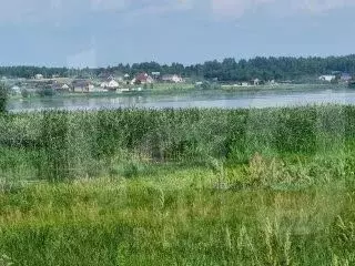 Участок в Нижегородская область, Чкаловск муниципальный округ, д. ... - Фото 2