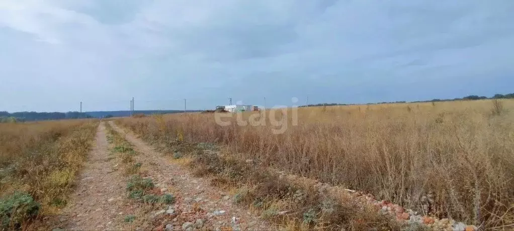 Участок в Воронежская область, Семилукский район, с. Девица ул. ... - Фото 2
