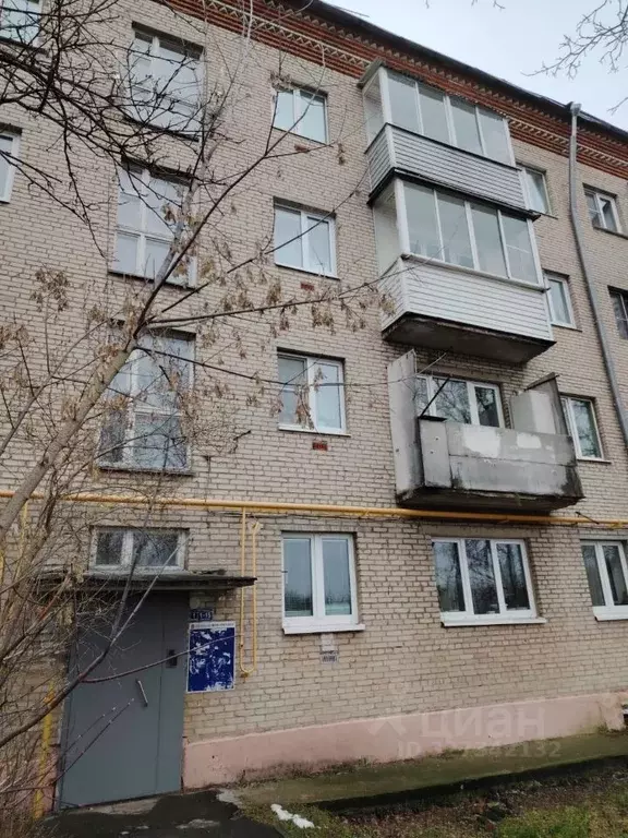 2-к кв. Московская область, Богородский городской округ, д. Авдотьино ... - Фото 2