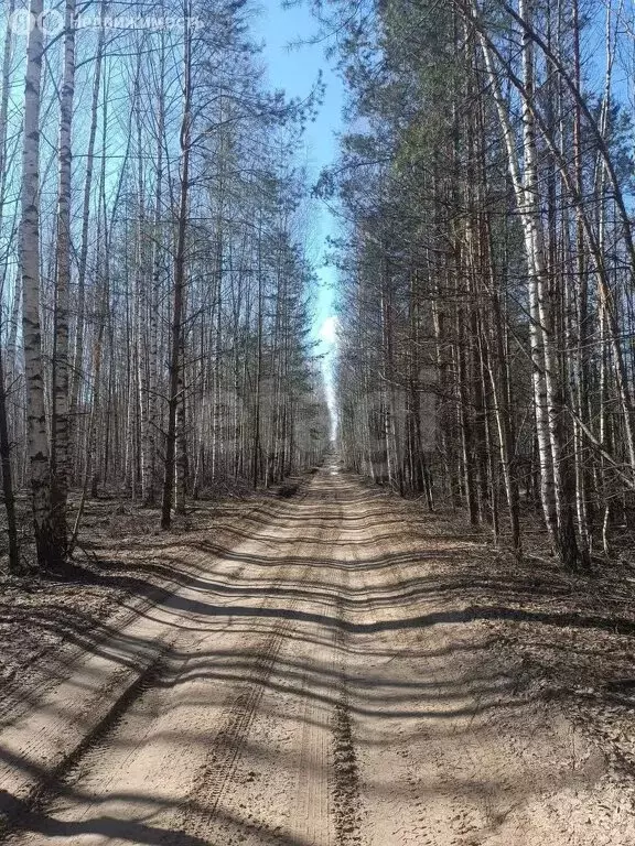 Участок в Нижегородская область, Лысковский муниципальный округ, ... - Фото 1