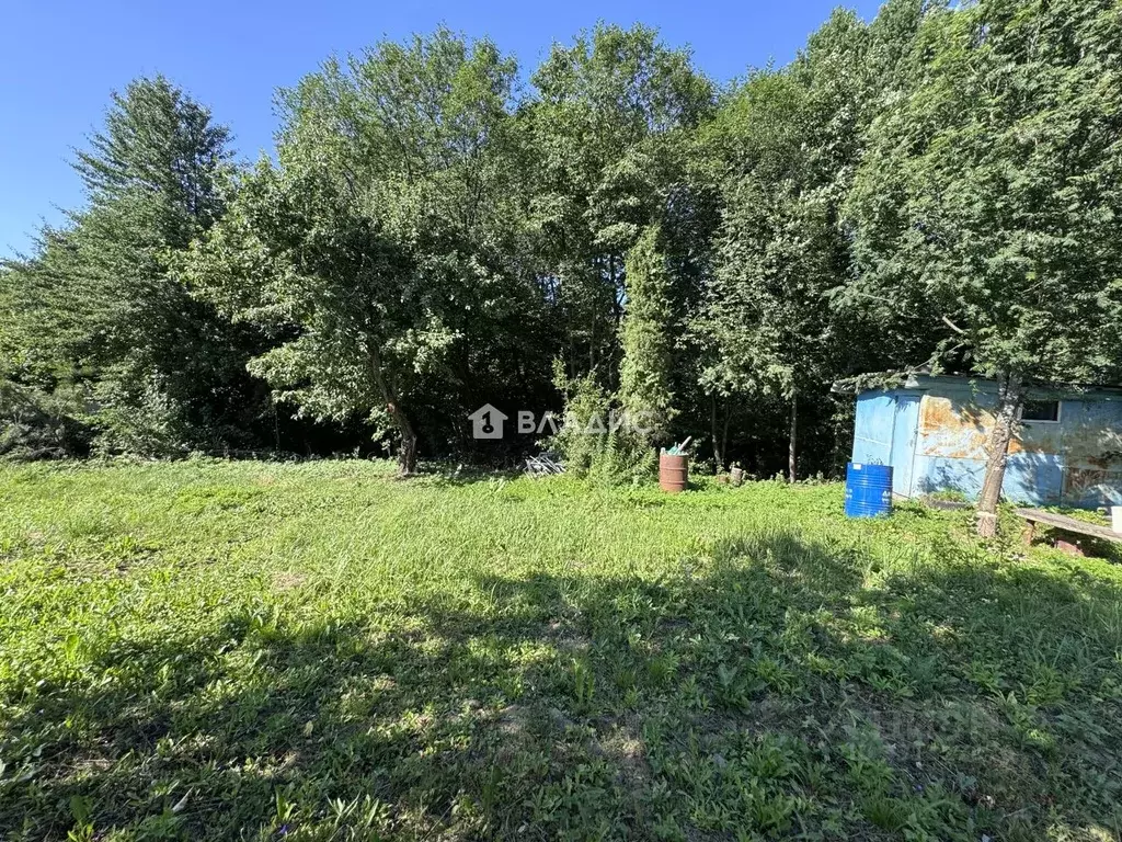 Участок в Владимирская область, Владимир Юбилейный СНТ, 323 (4.4 сот.) - Фото 1