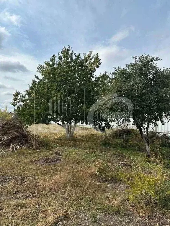 Участок в Воронежская область, Воронеж ул. Репненская (29.0 сот.) - Фото 2