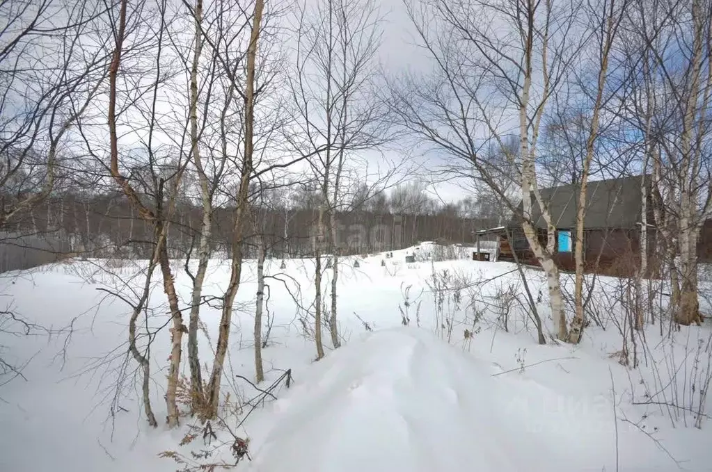 Участок в Сахалинская область, Южно-Сахалинск Ручеек ДНТ, 6 (9.57 ... - Фото 1