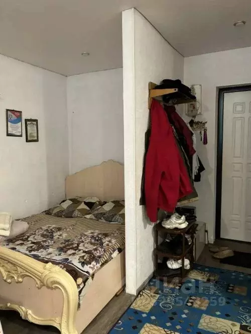 Студия Алтай, Майминский район, с. Майма ул. Строителей, 5 (28.0 м) - Фото 1