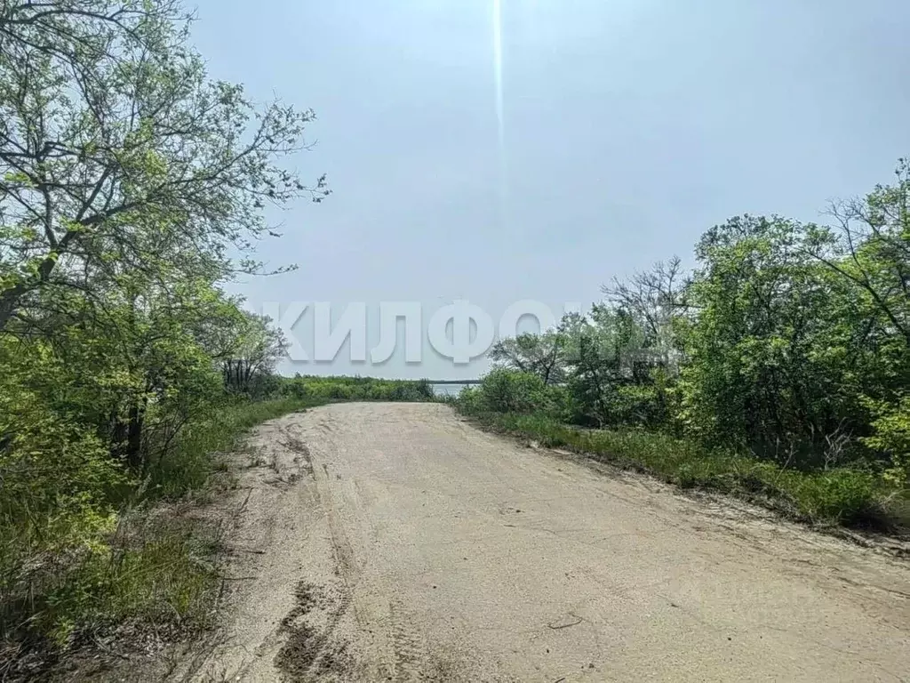 Участок в Амурская область, Благовещенск Амурская ул. (20.0 сот.) - Фото 1