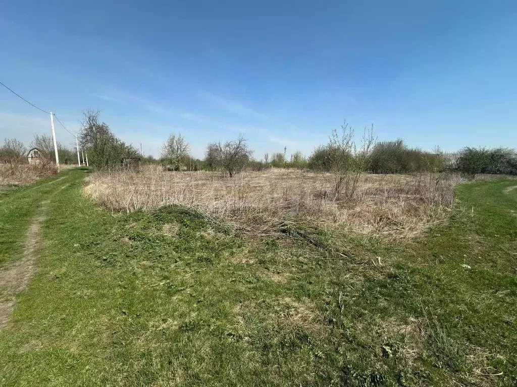 Участок в Брянская область, Брянский район, Снежское с/пос, пос. ... - Фото 1