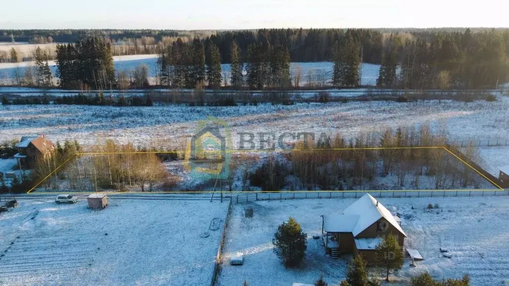 Участок в Ленинградская область, Гатчинский муниципальный округ, д. ... - Фото 2