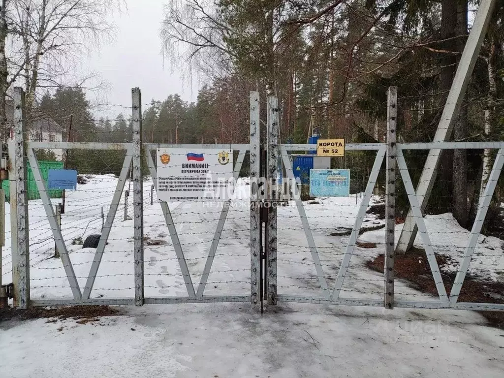 Участок в Ленинградская область, Выборгский район, Селезневское с/пос, ... - Фото 2