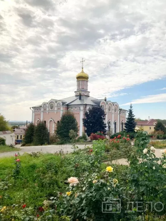 Участок в Рязанская область, Рыбновский муниципальный округ, с. ... - Фото 1