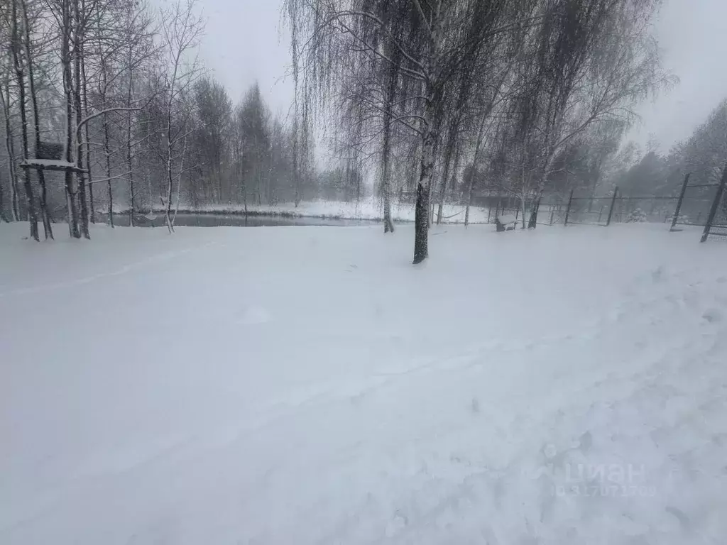 Участок в Московская область, Богородский городской округ, д. Ново  ... - Фото 0