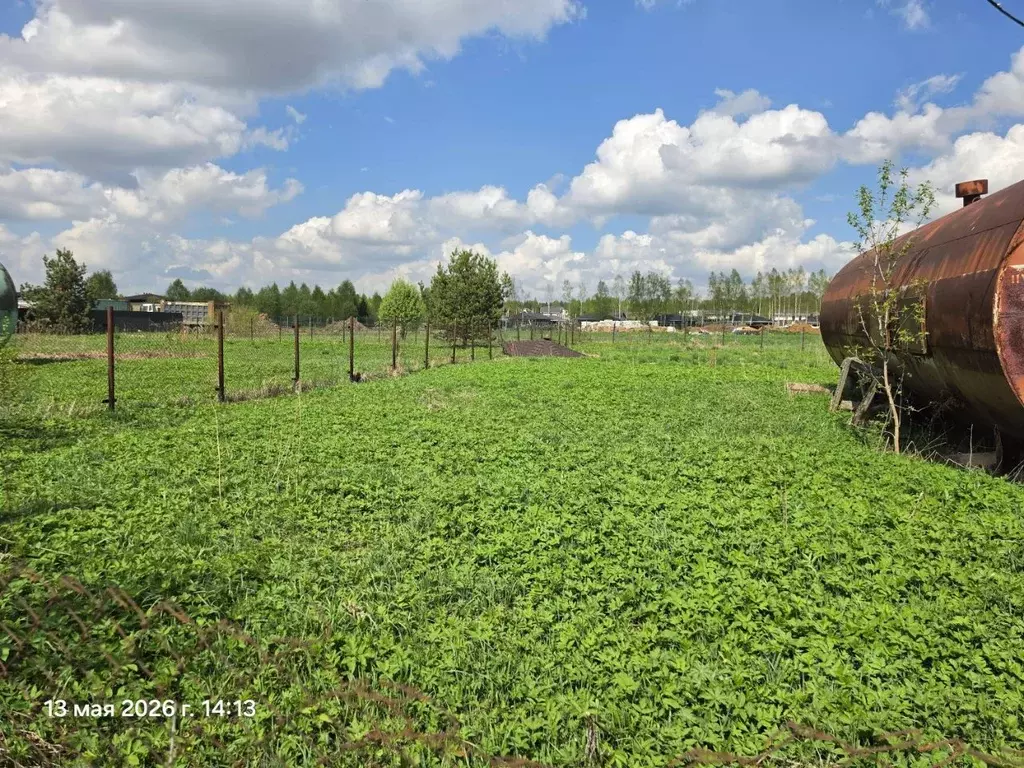 Участок в Московская область, Солнечногорск городской округ, д. ... - Фото 2