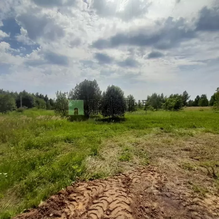 Участок в Тульская область, Тула ул. Дивная (13.0 сот.) - Фото 0