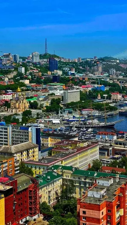 3-к кв. Приморский край, Владивосток ул. Арсеньева, 2А (80.0 м) - Фото 1