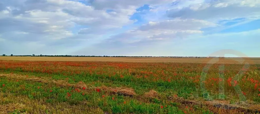 Участок в Крым, Сакский район, с. Суворовское  (272.0 сот.) - Фото 0