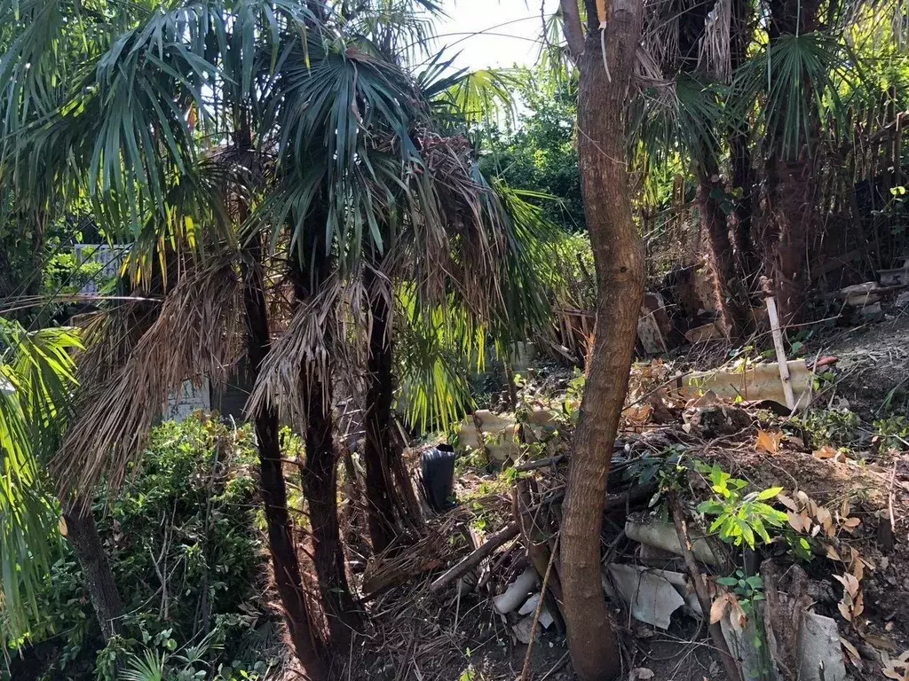 Участок в Краснодарский край, Сочи Хоста жилрайон,  (4.0 сот.) - Фото 2