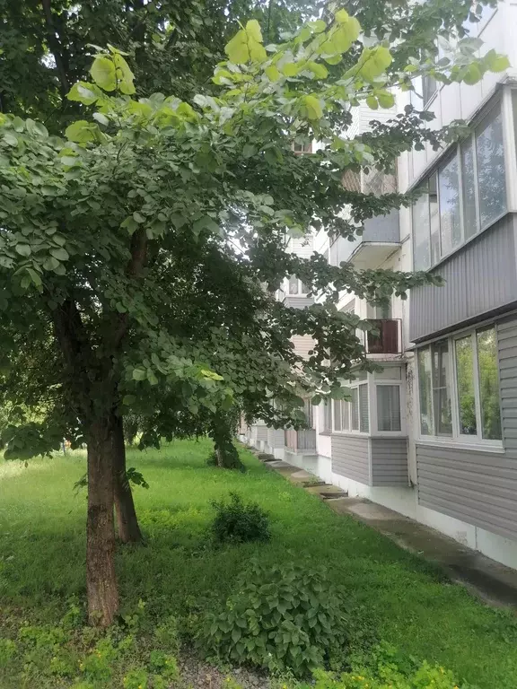 Продаётся 1-к квартира, 32 м - Фото 0