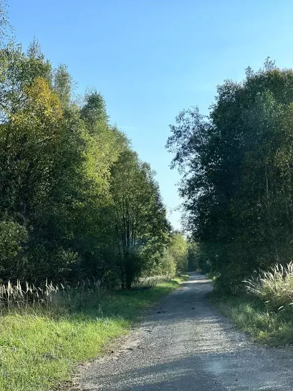 Участок в Тверская область, Калининский муниципальный округ, д. ... - Фото 0