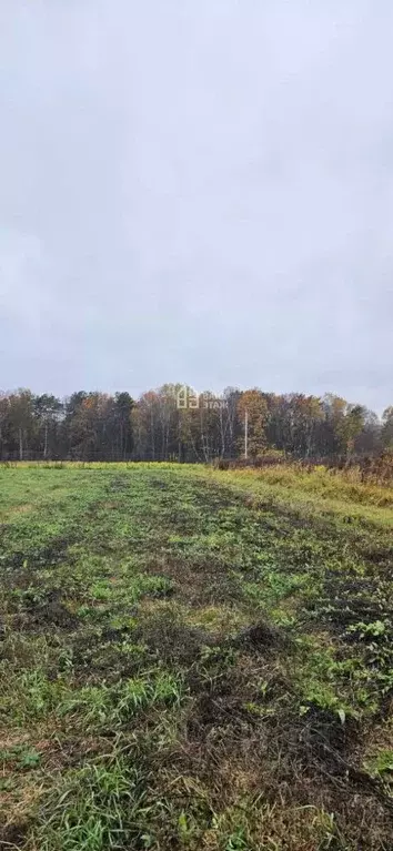 Участок в Калужская область, Ферзиковский муниципальный округ, Красный ... - Фото 2