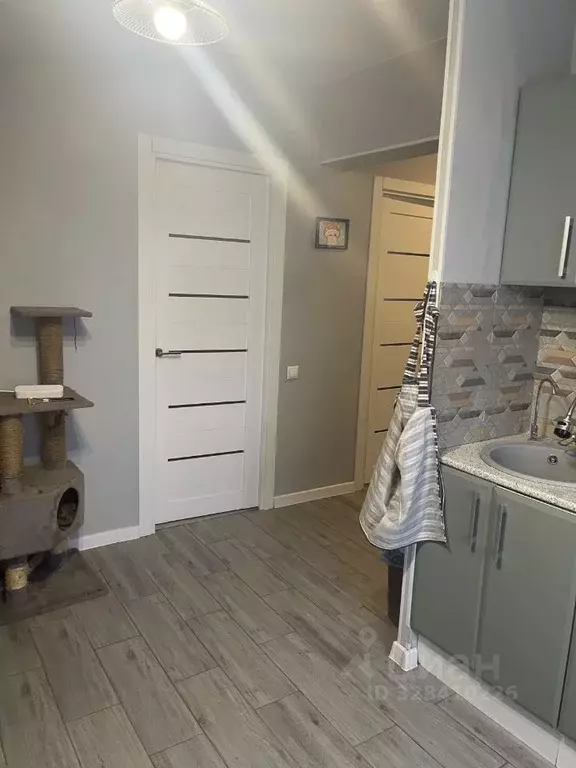 2-к кв. Московская область, Люберцы СНТ Зеленая Зона тер., 73 (55.0 м) - Фото 1