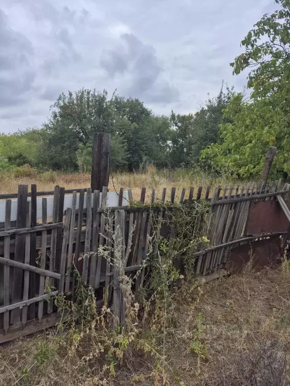 Участок в Волгоградская область, Волгоград Дзержинец СНТ, ... - Фото 2