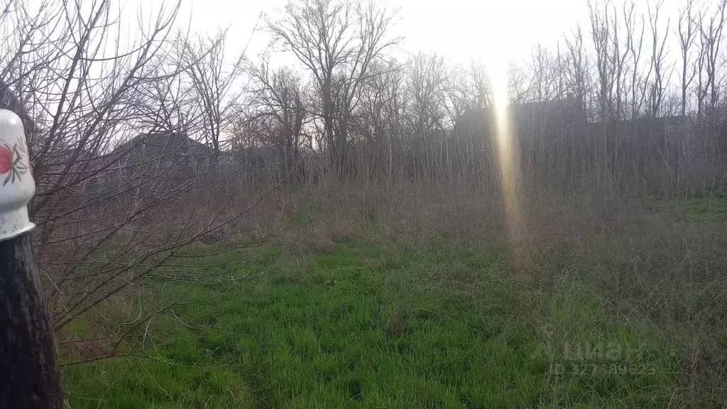 Участок в Ставропольский край, Кочубеевский муниципальный округ, с. ... - Фото 2