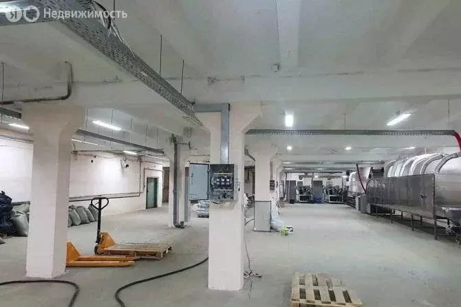 Помещение свободного назначения (884 м) - Фото 0