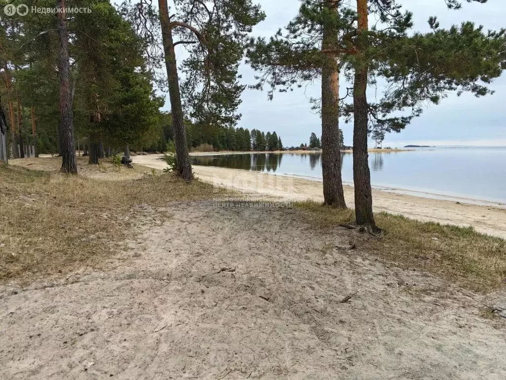 Дом в Сосновка, Лесная улица (32.7 м) - Фото 0