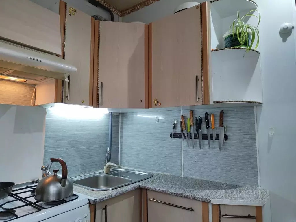 4-к кв. Санкт-Петербург ул. Добровольцев, 18 (71.8 м) - Фото 1