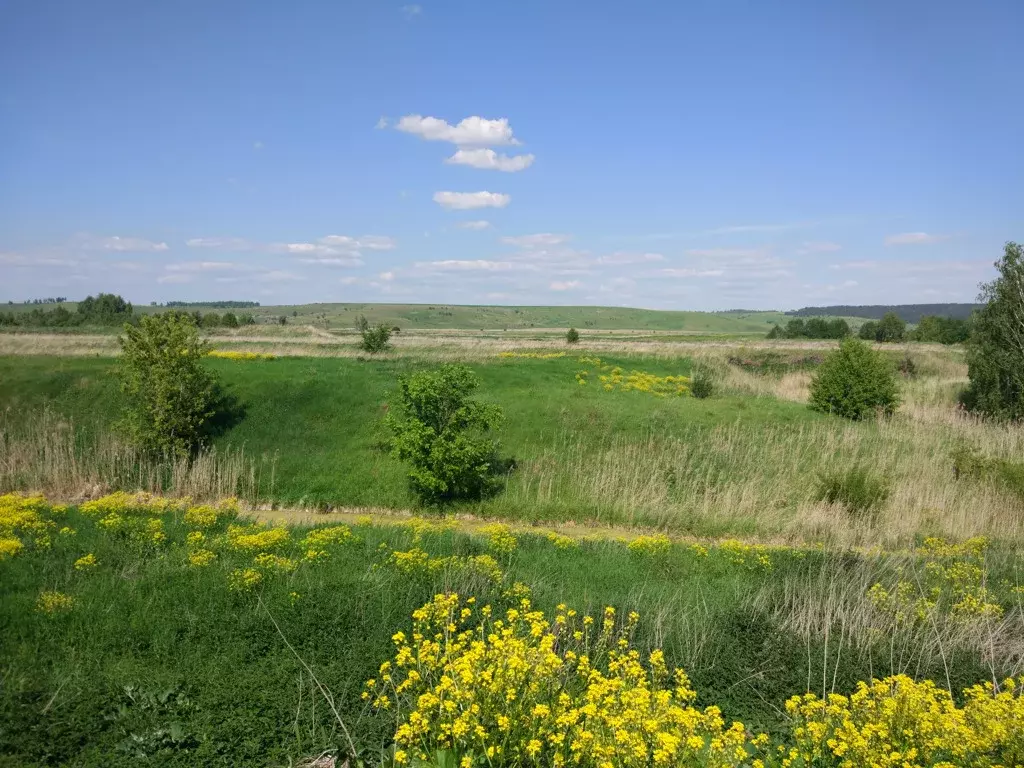 Купить Дом Деревни Дальний Константиновский Район Нижегородской