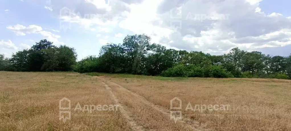 Участок в Волгоградская область, Краснослободск Среднеахтубинский ... - Фото 1