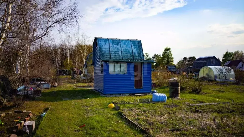 Дом в Еврейская автономная область, Смидовичский район, Олимпиец СНТ ... - Фото 2