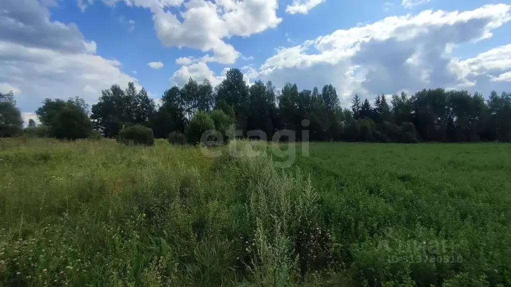 Участок в Калужская область, Ферзиковский район, Бебелевский ... - Фото 2