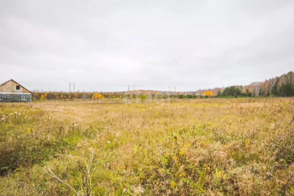 Участок в Свердловская область, Полевской городской округ, с. ... - Фото 0