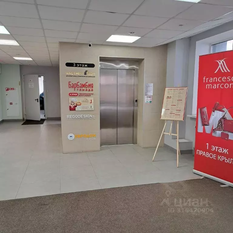 Торговая площадь в Нижегородская область, Нижний Новгород ул. ... - Фото 1