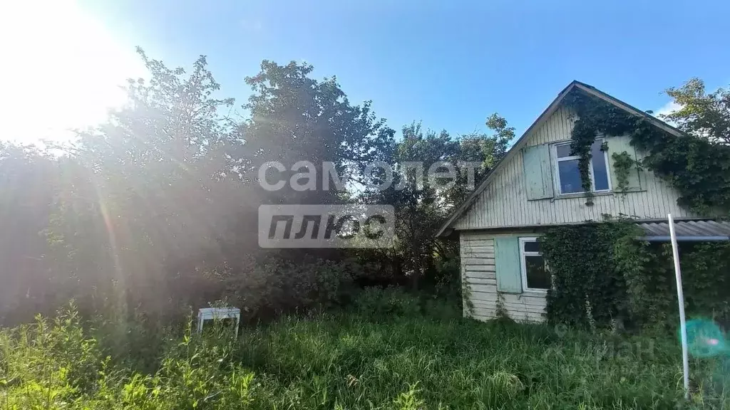 Дом в Калужская область, Боровский муниципальный округ, Кривское ... - Фото 2