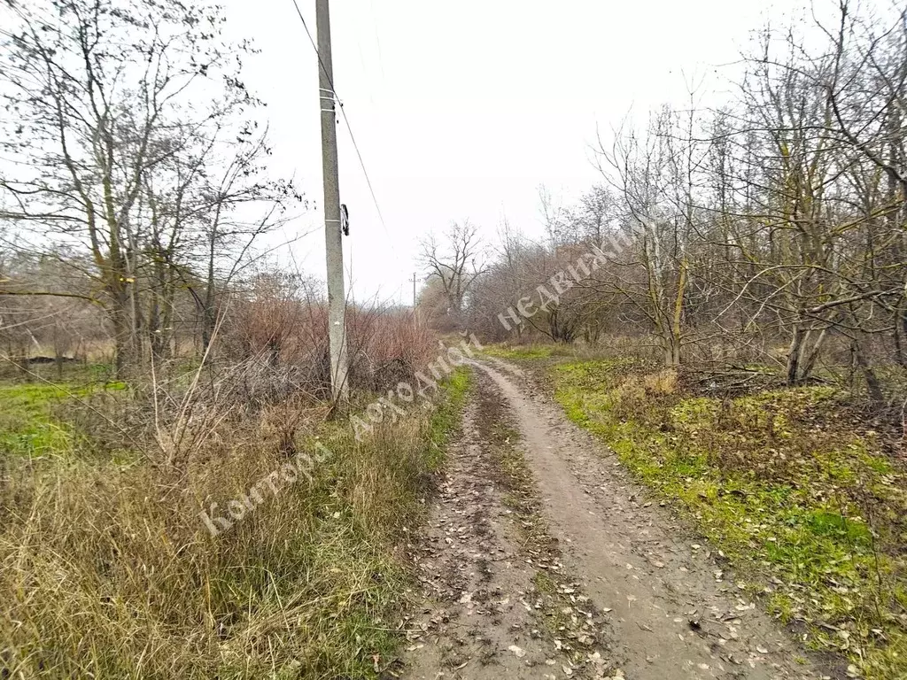 Участок в Ростовская область, Ростов-на-Дону пер. Винникова (6.0 сот.) - Фото 1