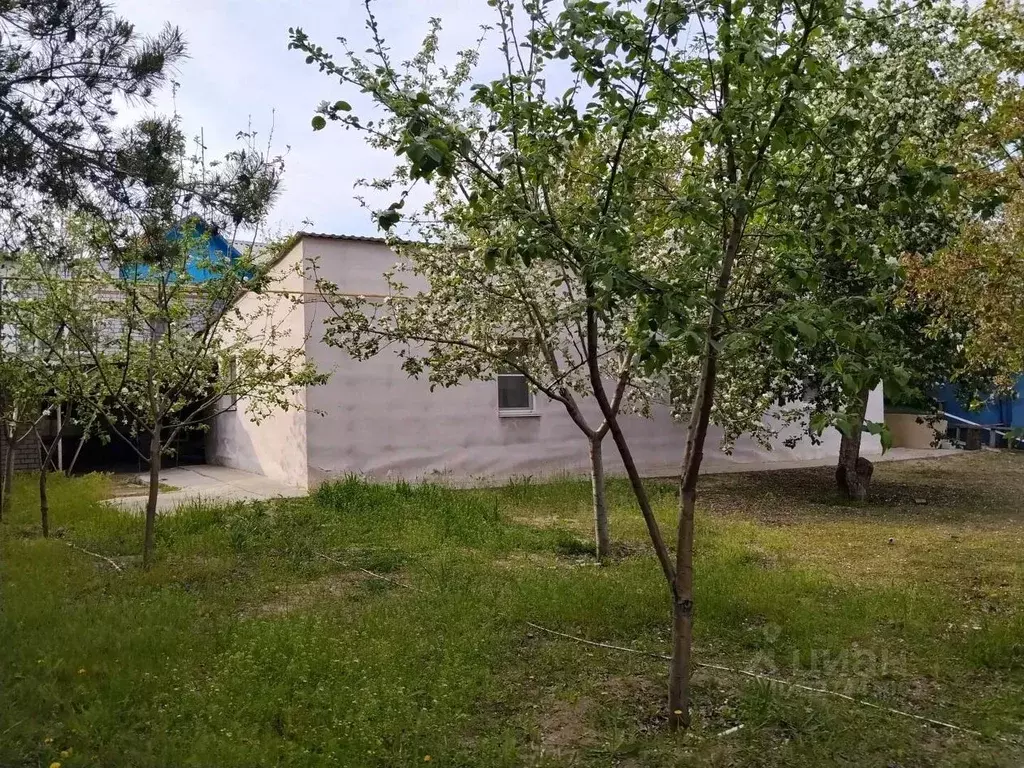 Дом в Волгоградская область, Волгоград Прилукская ул. (242 м) - Фото 2
