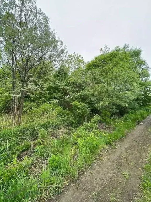 Участок в Приморский край, Надеждинский район, Коммунальник-2 СНТ  ... - Фото 2