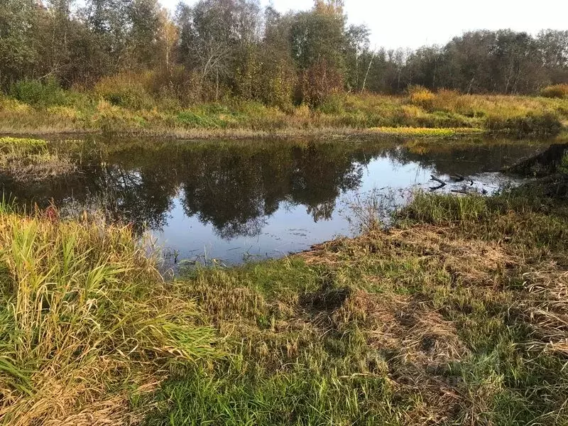 Дом в Тверская область, Кимрский муниципальный округ, д. Григорьевское ... - Фото 0